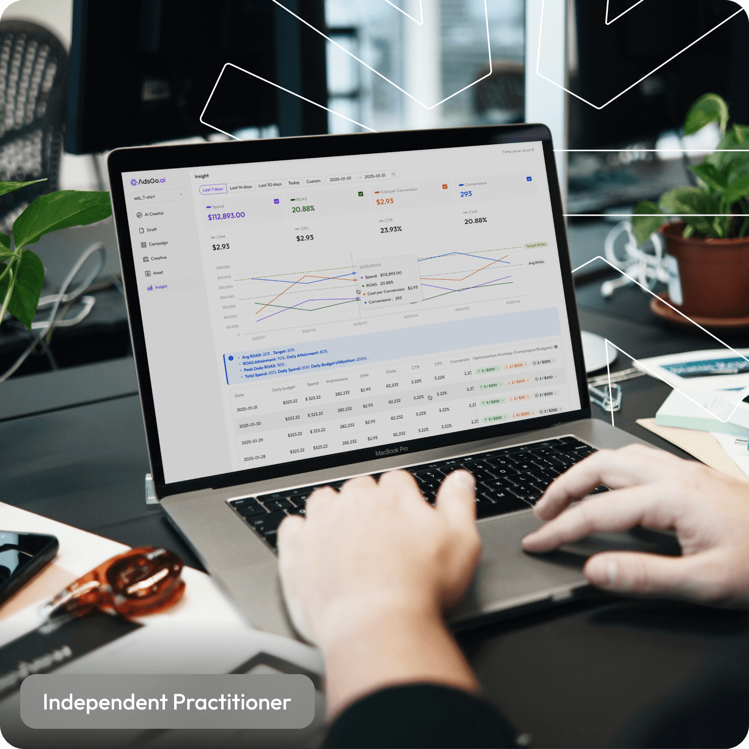 Practitioner in Ad Optimization