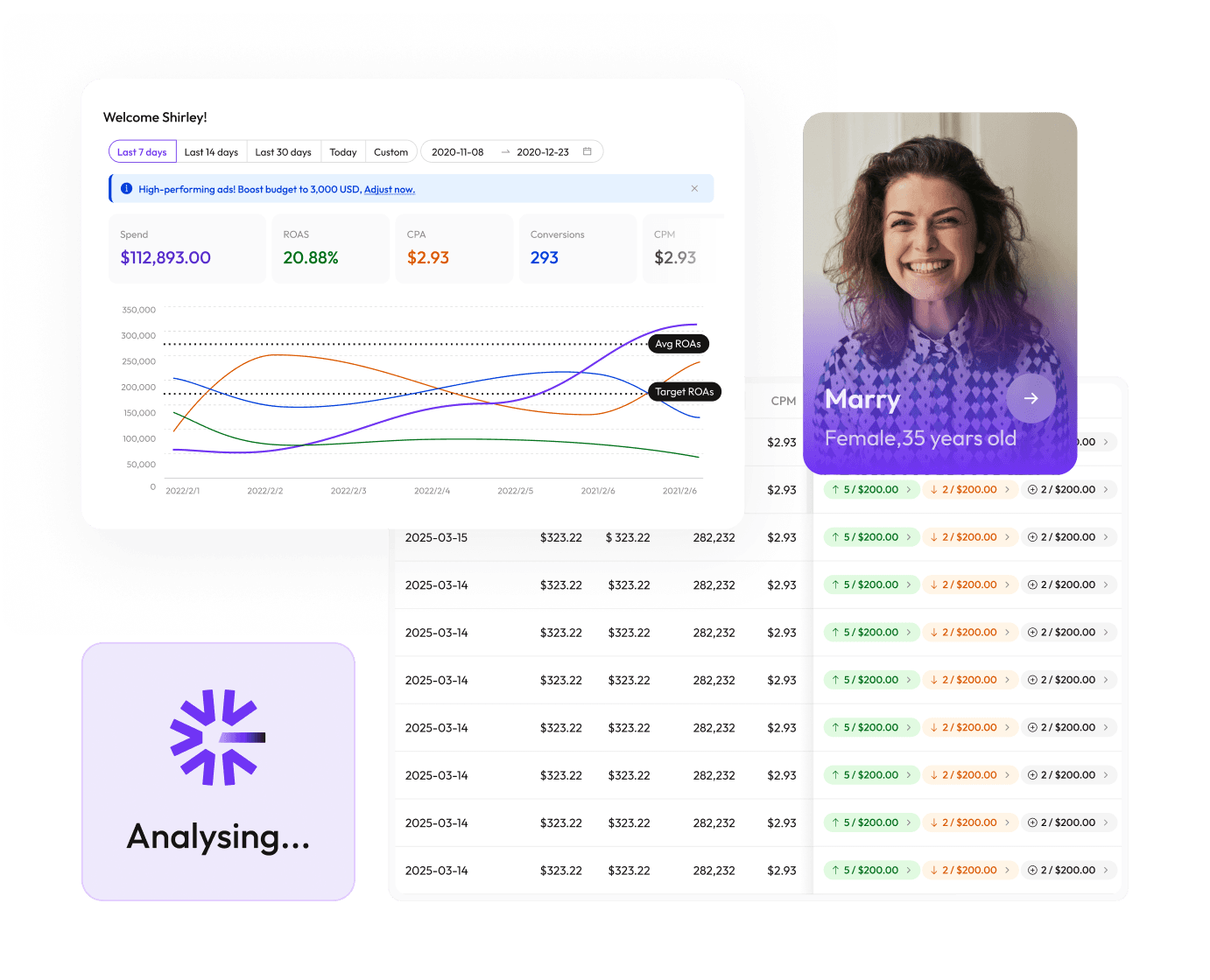 Data Insights, Deep Analysis